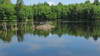 Reflections on Church Pond