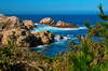 Point Lobos 14
