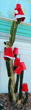 Protection or decor?