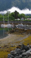 Our Front Yard at Sealing Cove Harbor